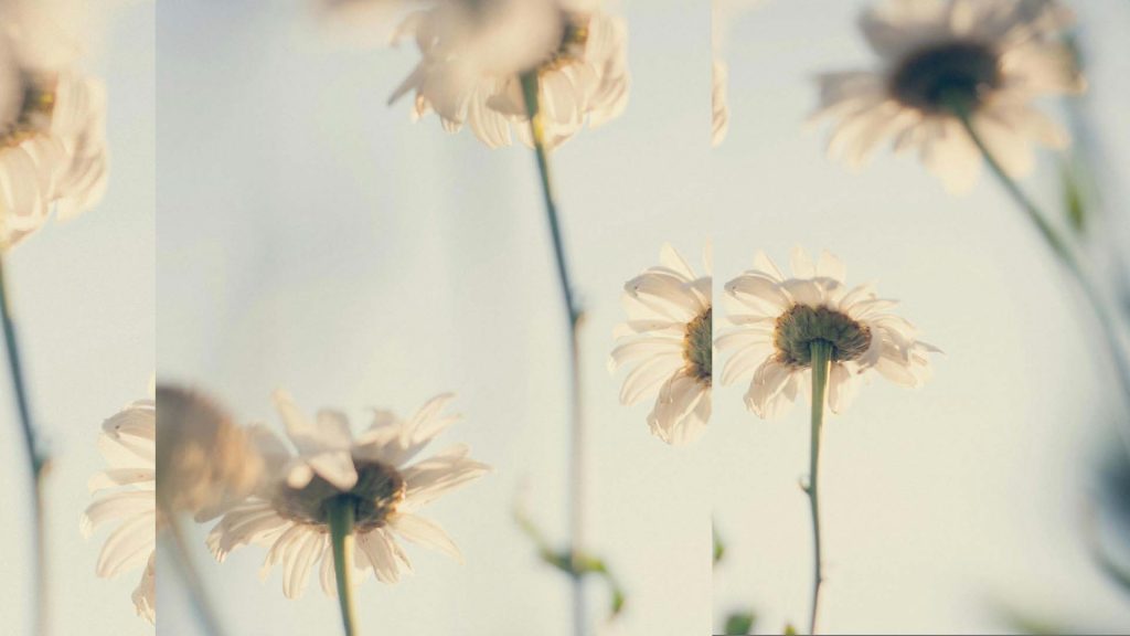 agora acompanyament integratiu